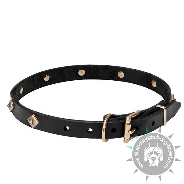 WalkingDog Collar with Rusted Brass Studs