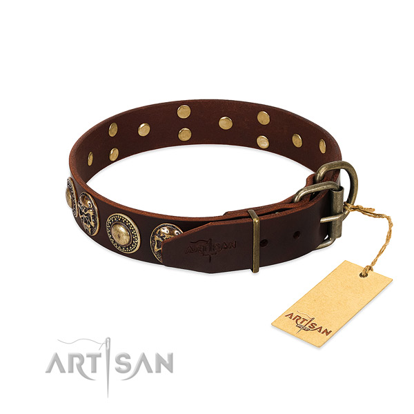 Daily walking full grain leather collar with adornments for your canine