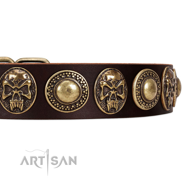 Full grain natural leather dog collar with adornments for comfy wearing