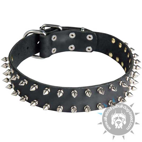 Leather Pitbull collar black double spiked