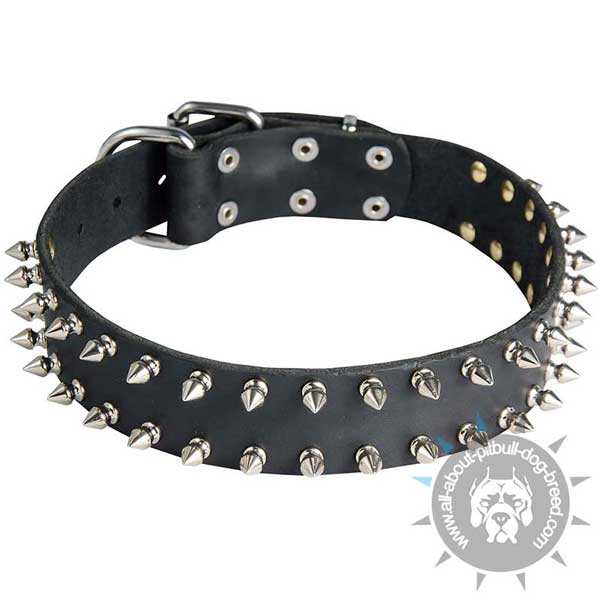 Leather Pitbull Collar Black Double Spiked