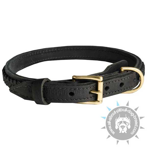 Amazing dog collar for showy walks