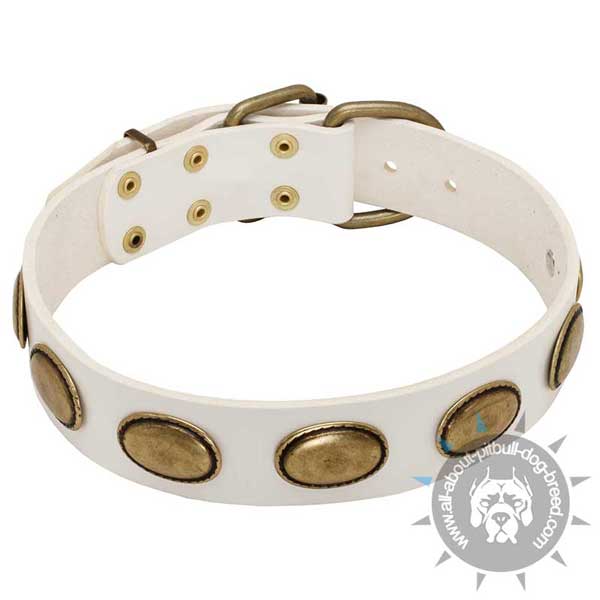 Stylish White leather dog collar made of the finest materials
