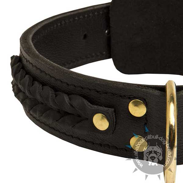 Strong Leather Collar with Fur Protective Plate