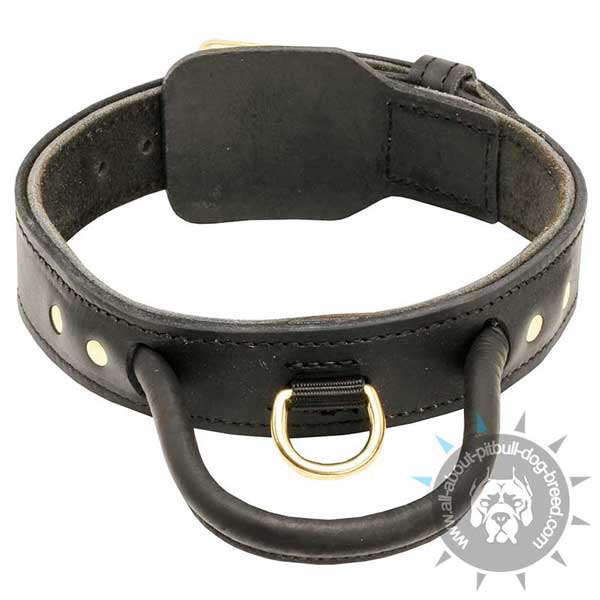 Wonderful training leather dog     collar
