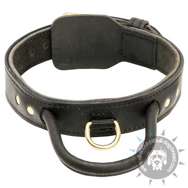 Leather Dog Collar