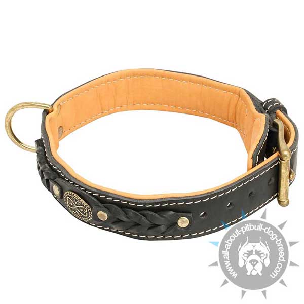 Designer leather dog collar