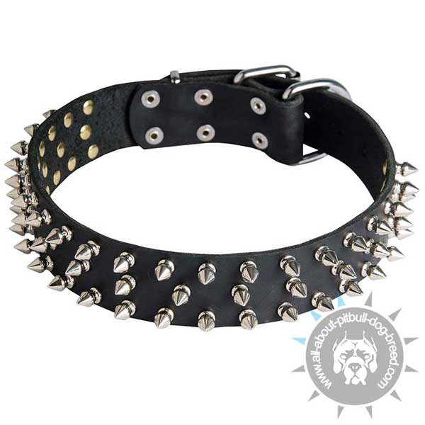 Leather Pitbull collar with symmetrical spikes