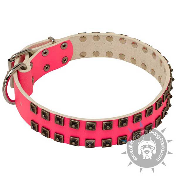 Leather pink Pitbull collar with nickel pyramids