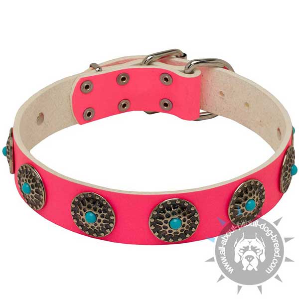 Circles studded pink leather Pitbull collar