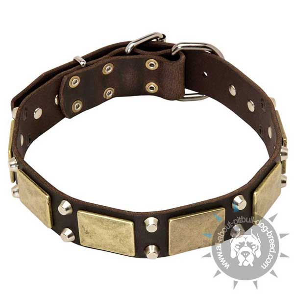 Reliable leather-dog collar is functionally fashionable