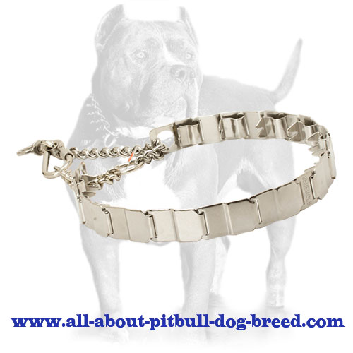 stainless steel Dog Collar