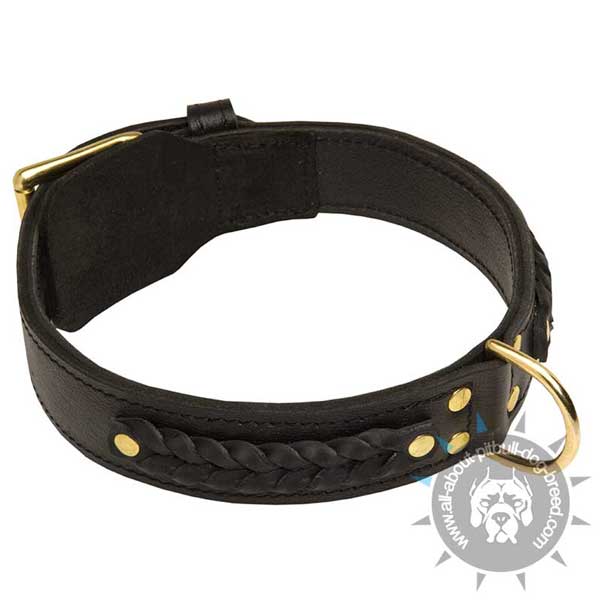 Strong Pitbull collar of 2 ply leather