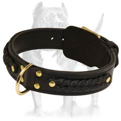 Braided Leather Dog Collar