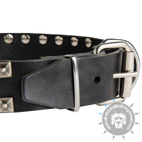 Comfy leather dog collar with strong buckle and D-ring