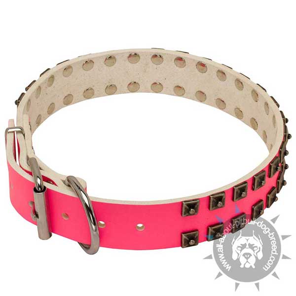 Leather pink studded dog collar for Pit Bull