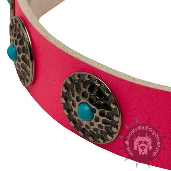 Reliable leather dog collar with rustproof hardware