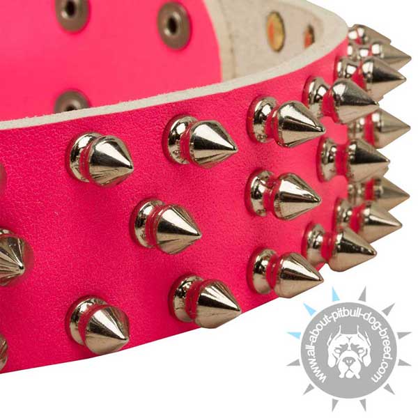 Pink unique spiked leather Pit Bull collar for walks