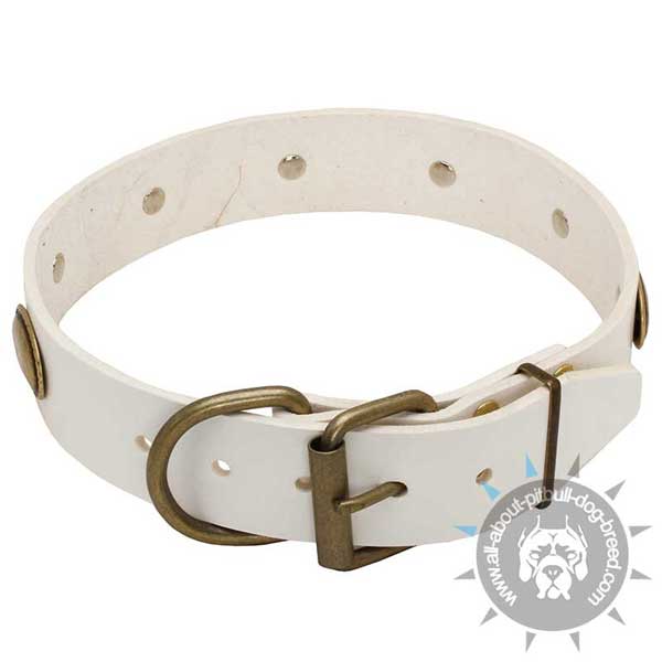 Exquisite white leather dog collar with reliable fittings