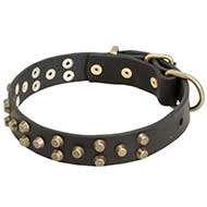 Fashionable Leather Pitbull Collar with 3 Rows of Brass Pyramids