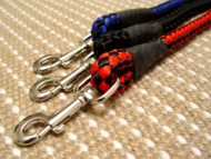 Big-nylon dog leash