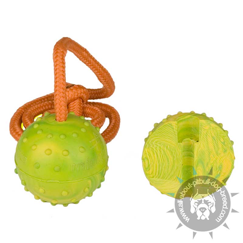 Take Solid Rubber Dog Ball Nylon Rope