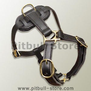 hand-made leather dog harness