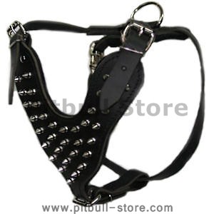 hand-made spiked leather dog harness