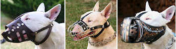 Bull Terrier Dog Muzzles