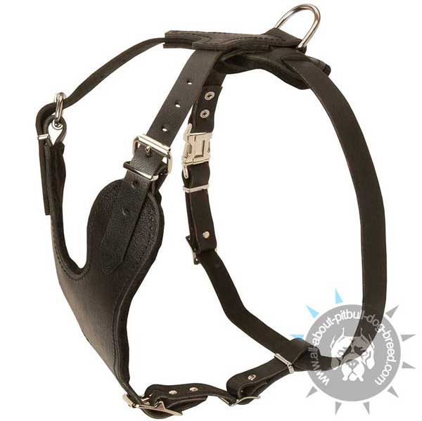 Comfortable felt padded leather dog harness
