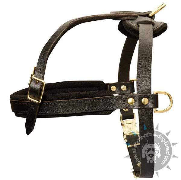 Comfortable easy handling leather harness