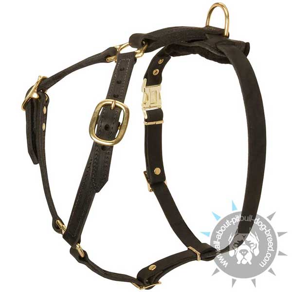 Handmade comfortable leather dog harness