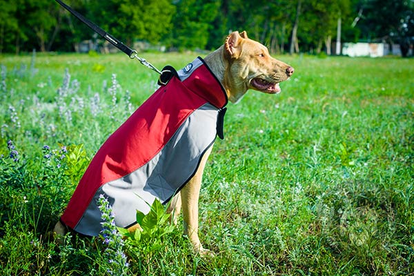 Warm nylon coat for Pitbull