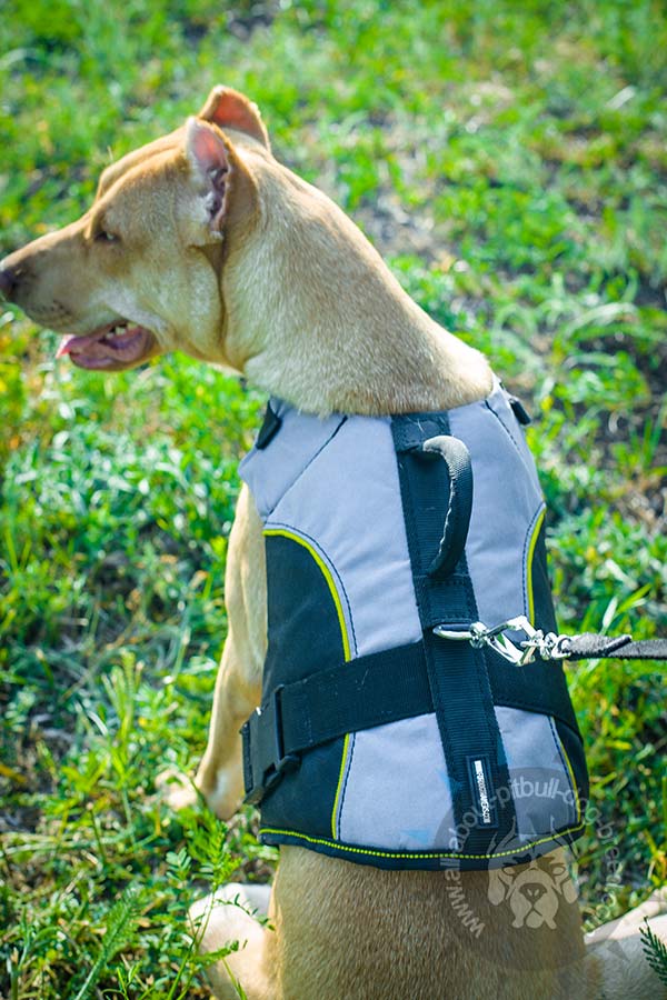 Wear-resistant nylon Pitbull harness