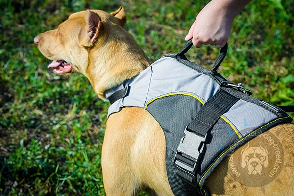 Easy to handle nylon Pitbull harness