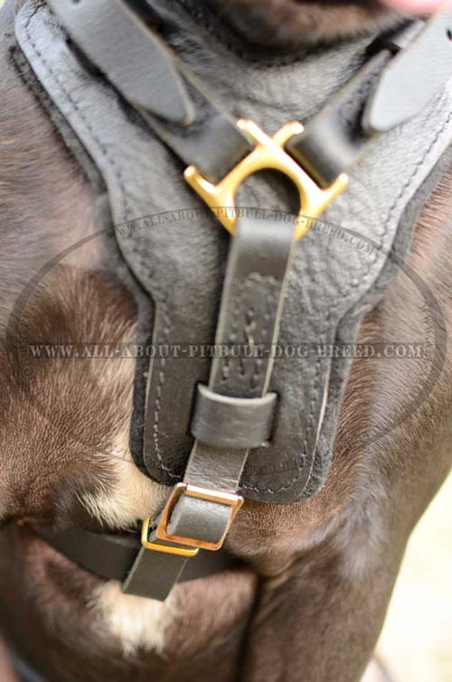 Universal Leather Dog Harness