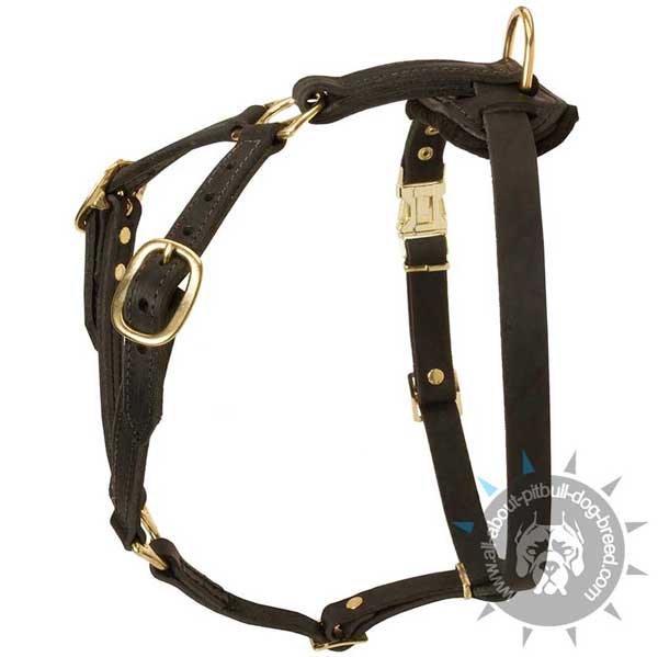 Tracking/pulling leather dog harness