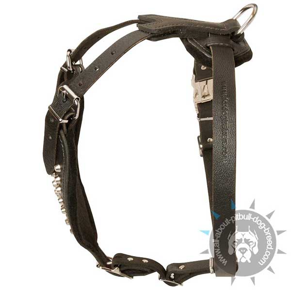 Sophisticated leather dog harness