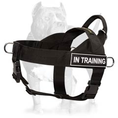 Control easy handling nylon dog harness