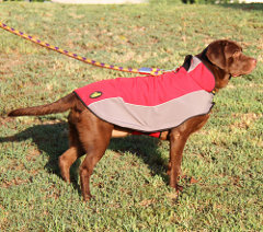 Easy adjustable winter dog coat with padding