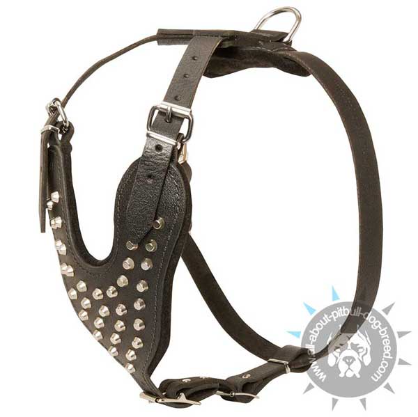 Assistant easy walk leather harness with nickel studs