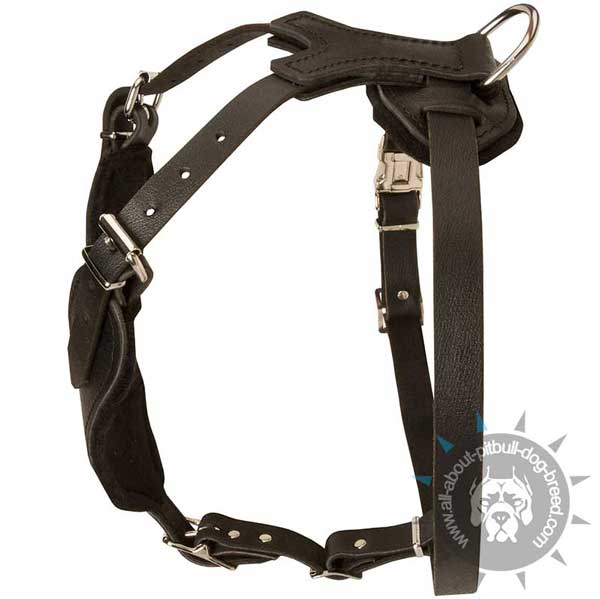Reliable easy handling leather dog harness
