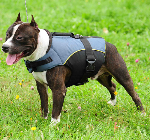 Vest Dog Harness Weatherproof Nylon Dog Harness with