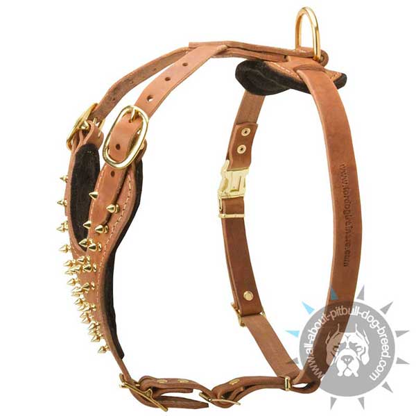 Unique leather dog harness with spikes