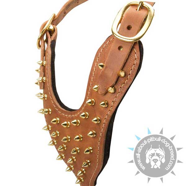 Y-shaped Breast Plate of Spiked Training Leather Pitbull Harness