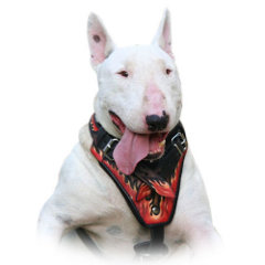 Designer leather dog harness