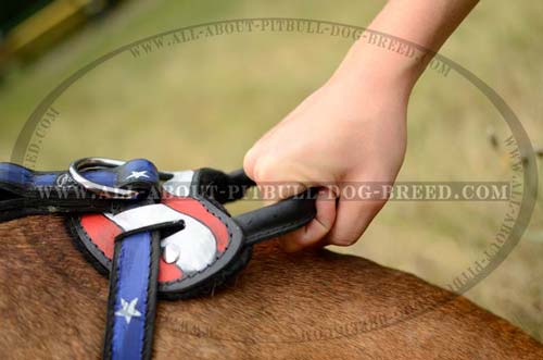 Handmade Leather Dog Harness