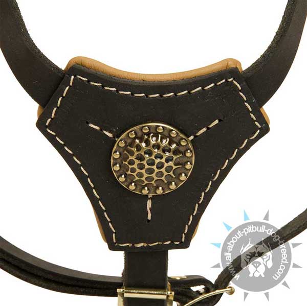 Excellent dog harness provides good conforming fit for your puppy! Educative leather dog harness