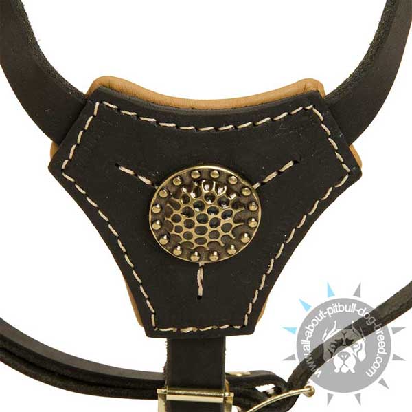 Educative leather dog harness