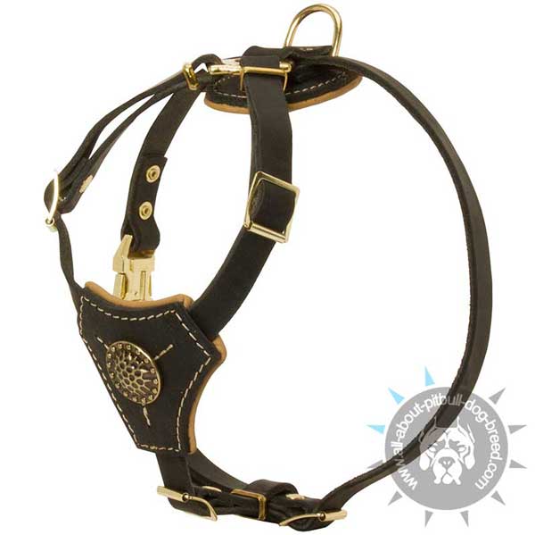 Soft padded everyday leather training dog harness